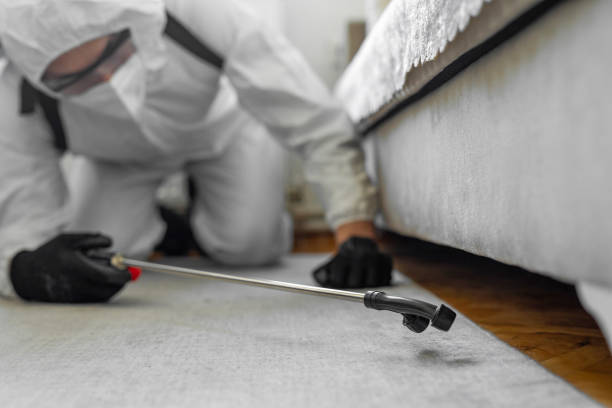 Professional Bed Bug Control technician working in Baywood Park, CA