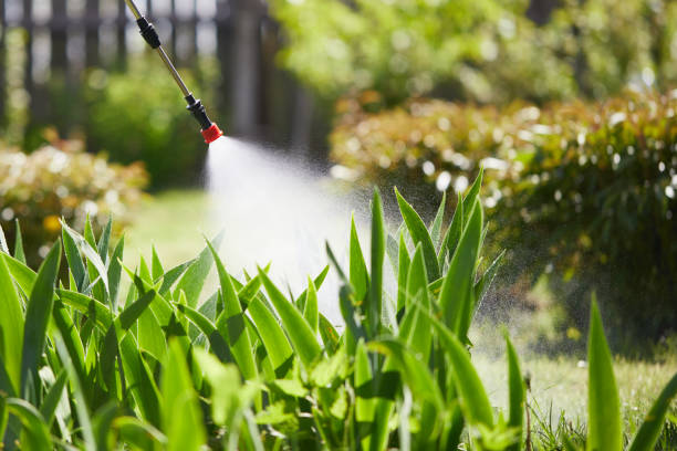 24/7 Emergency Bed Bug Control experts in Baywood Park, CA