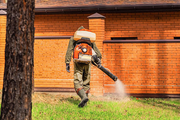 Trusted Emergency Pest Control service in Baywood Park, CA - Nex Pest Control